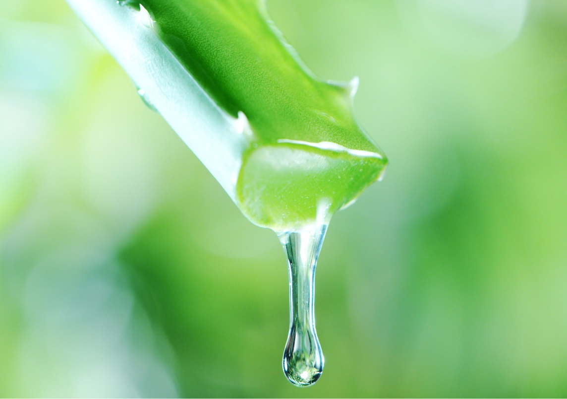 Succo di Aloe